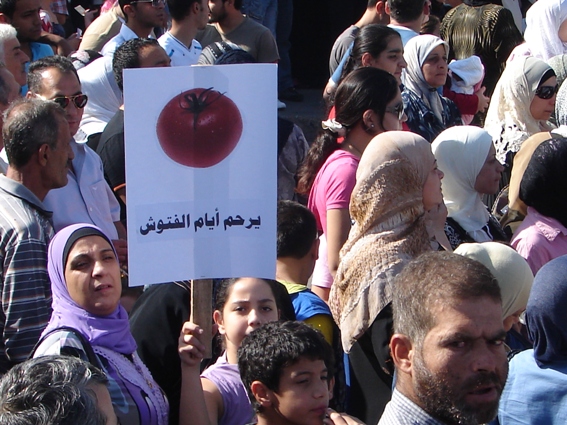 لبت حشود غفيرة من جمهور التنظيم الشعبي الناصري نداء الدكتور أسامة سعد فنزلوا عند العاشرة من صباح اليوم إلى ساحة النجمة في صيدا وشاركوا في الاعتصام ضد الغلاء والحكومة