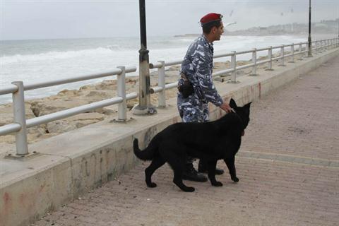 A two-year old Belgian Shepherd on a chain leash is surrounded by residents and policemen in Sidon, south of Beirut, on Thursday, April 19, 2012. (The Daily Star/Mohammed Zaatari)